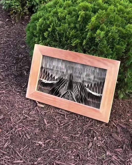 Pintail open-wing piece in a cedar frame resting in a landscaped bed